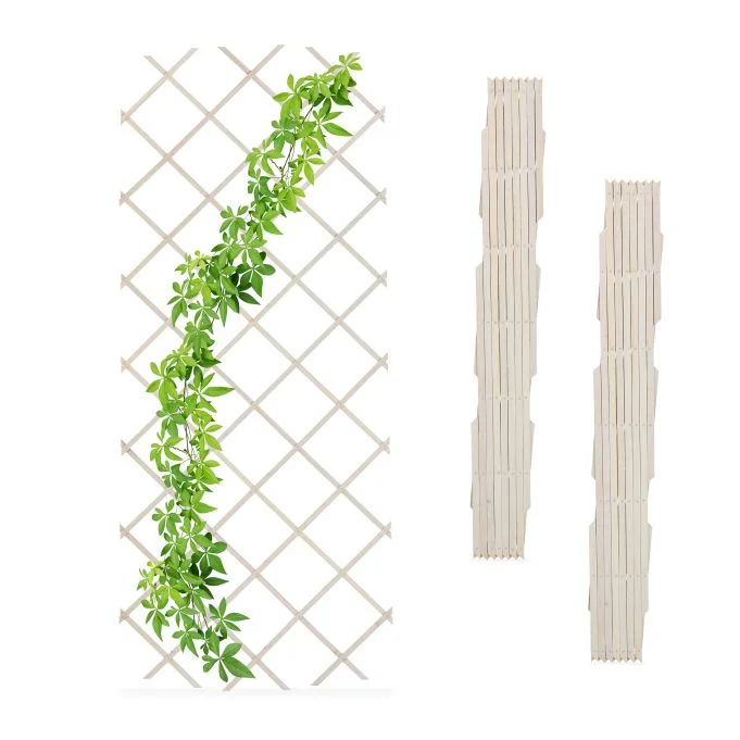 relaxdays202606082154563344473