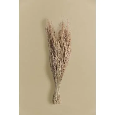 sklum202606081425183272068